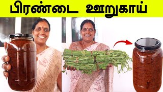 பிரண்டை ஊறுகாய் செய்முறை ரகசியம்  Pirandai Pickle Recipe in Tamil  Pirandai oorugai FoodieTamizha [upl. by Sibylle591]