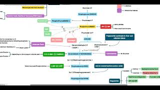 Glycolysis and Krebs cycle notes [upl. by Swenson]