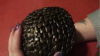 Dragon Egg Tapping Scratching Whispering amp Relaxation [upl. by Adnuahsor]