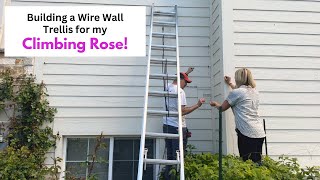 Building a Wire Wall Trellis For My Climbing Rose [upl. by Berenice]