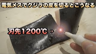 これマジ？刃先1200℃の電気メスでも焼けない最強のクジラの皮 [upl. by Ayahc663]