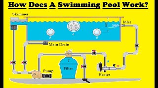 How Does Swimming Pool Work [upl. by Philps460]