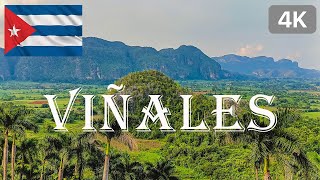 VIÑALES  CUBA  4K [upl. by Caiaphas]