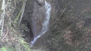 ScheffauRehbachklamm Österreich [upl. by Brottman]