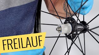 Fahrrad Freilauf austauschen  einfach amp schnell  Fahrradorg [upl. by Odarbil]