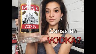 Cañas de saxofon en VODKA [upl. by Hort]