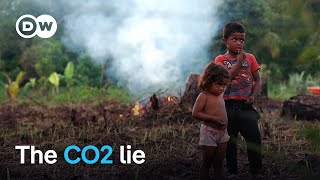 From reforestation to CO2 compensation  Companies dirty tricks  DW Documentary [upl. by Enilesor]