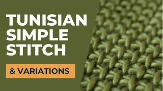 How to make the Tunisian simple stitch Tss and variations  Tunisian Crochet basics 2 [upl. by Avictor]