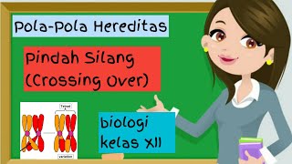 Pindah Silang Kelas 12  Crossing Over  Bab Biologi Pola Hereditas [upl. by Olette]