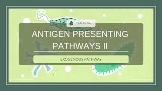 Antigen Processing and Presentation 2 Exogenous PathwayMHC Class 2  Sinhala Explanation [upl. by Ardna]