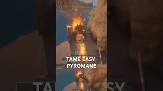 Tame Easy Du Pyromane [upl. by Brandice]