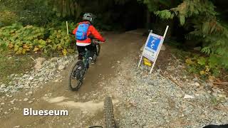 Funshine Rolly Drops to Afternoon Delight Lower Whistler DH  Whistler Bike Park 4K [upl. by Lyrej341]