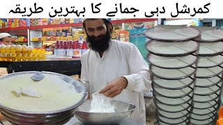 Dahi Jamane Ka Sahi Tarika  Commercial Yogurt Recipe [upl. by Pylle]