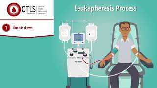 A Quick Look at Leukapheresis White Blood Cell Donation [upl. by Yenruoc]