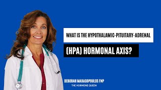 What is the HypothalamicPituitaryAdrenal HPA Hormonal Axis [upl. by Mansur]