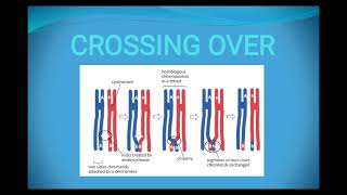 Crossing over Definition Types Significance and factors affecting crossing over [upl. by Gerrard]