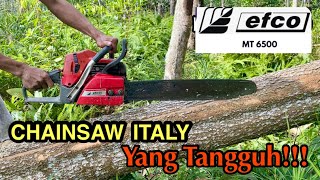 Chainsaw efco Mt 6500 membelah kayu Akasia [upl. by Aivul545]