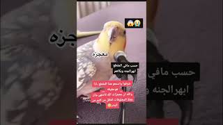 بغبان يقراء القران سبحان الله العظيم 😳 اكسبلور summer ترند دويتو تيكتوك [upl. by Kenaz]