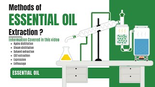 How essential oils are extracted from plants [upl. by Tonkin]