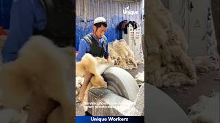 Sheepskin rug making process  The workers do their job perfectly  machine shorts [upl. by Emmalee]