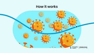 The Flu Shot  Flu Shot Effectiveness and Flu Shot Safety Information [upl. by Dronski]