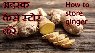 How to grow Ginger in water for beginners Growing ginger at home [upl. by Hnilym]