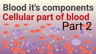 blood its and Components cellular part of blood [upl. by Ethelred]