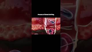 Blood clotting होने की प्रक्रिया।शरीर को चोट लगने के बाद blood clot कैसे बनता हैं clotting shorts [upl. by Bilski158]