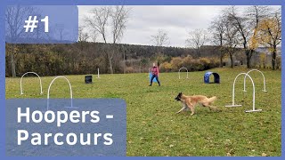 1 Hoopers Parcours zum Nachmachen  H1 Parcours mit 4 Varianten erweiterbar für H2  NADAC Hoopers [upl. by Grazia]