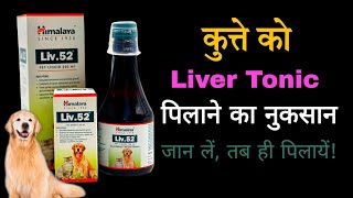 Dog को liver tonic देने के पहले जरूर देखें [upl. by Alrats]