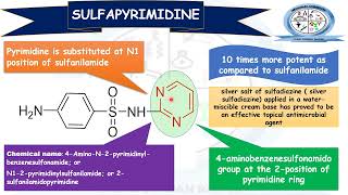 Sulfadiazine Sulfamerazine Sulfadimidine N1 Substituted Sulfonamide  Medicinal Chemistry [upl. by Apostles]