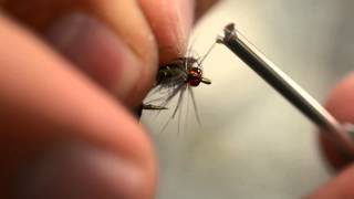 Shopdust Caddis Emerger [upl. by Serene591]