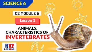 Science 6 Quarter 2 Module 5  Characteristics of Invertebrates [upl. by Hamer]