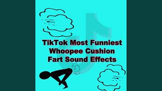 Tiktok Most Funniest Whoopee Cushion Fart Sound Effects [upl. by Sitra796]