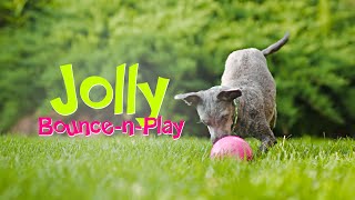 Jolly BouncenPlay [upl. by Eldon]