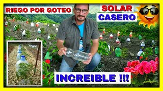 RIEGO por GOTEO SOLAR CASERO con botellas plásticas FUNCIONA con AGUA DE MAR  Gio de la Rosa [upl. by Katha]