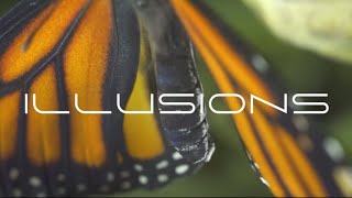 ILLUSIONS 1 [upl. by Ondine666]