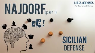 The Najdorf part 1 ⎸Sicilian Defense Theory [upl. by Artinahs964]