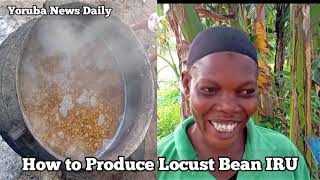 How to make Iru Locust beans in Nigerian village  Woman explains [upl. by Robinia]