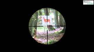 Minox ZV 39x50 reticle BDC subtensions [upl. by Yesnil943]