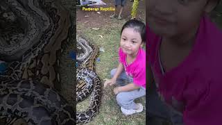 Pameran Reptilia tamanpemudapratama5841 animals reptiles kids [upl. by Harbot]