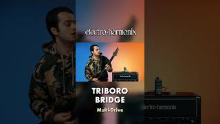 EHX Pico Triboro Bridge MultiDrive Pedal Demo [upl. by Marijo]