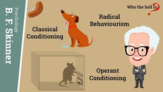 Operant Conditioning vs Classical Conditioning in BF Skinners Radical Behaviourism [upl. by Sillihp]