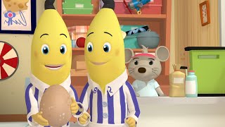 The Bananas Find A Dragon Egg  Bananas in Pyjamas Season 2  Full Episodes  Bananas In Pyjamas [upl. by Herv]