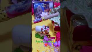 Radhe Radhe 🙏 newsong song music religion laddu bhogsong baby shyam hindumantralive laddu [upl. by Pass368]