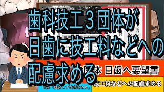 歯科技工３団体が日歯に技工料などへの配慮求める／日歯「検討して対応決める」 日本歯科新聞2024年6月4日 歯科技工士ニュースβ版 [upl. by Hung493]