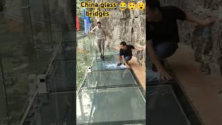 Chinas amazing glass bridge  shorts facts ytshorts [upl. by Chesna194]