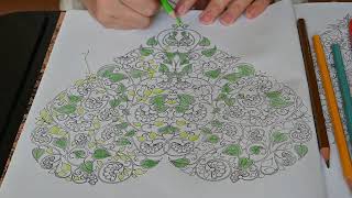 How to draw beautiful coloring pictures learn this way and you will be able to master it 3 [upl. by Spevek]