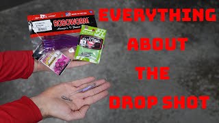 Everything You Need To Know About The Drop Shot Drop Shot 101 [upl. by Ro]