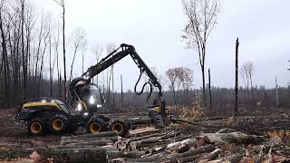 Ponsse Scorpion Giant with the new H8 harvester head piling oak [upl. by Aday876]